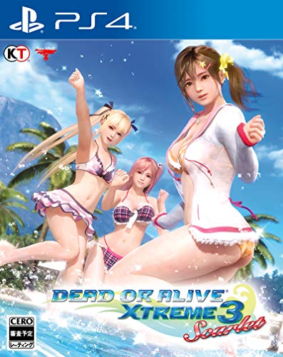 DEAD OR ALIVE Xtreme 3 みさき　タペストリー DEAD OR ALIVE Xtreme Venus Vacation 特大タペストリー みさき